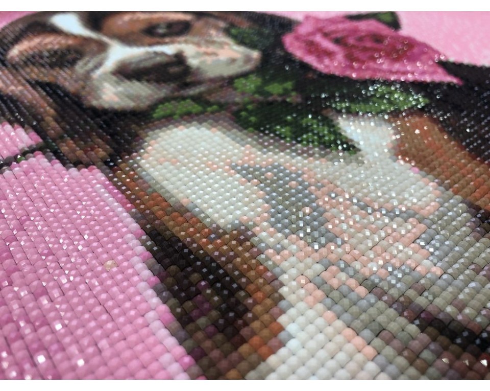 DE6044 - Čistá růže (Diamond painting)