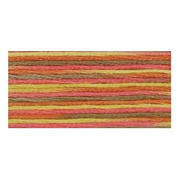 DMC Coloris 4510 - Javor