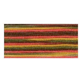 DMC Coloris 4511 - Indiánské léto
