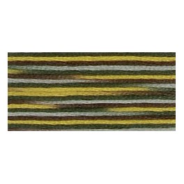 DMC Coloris 4521 - Velkolepé prostory