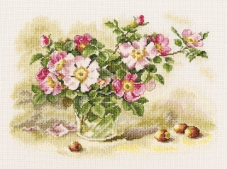 RTO-M523 - Planá růže