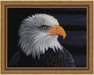 AM1714 - Orel bělohlavý (Diamond painting)