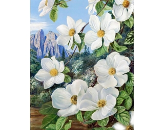 DE7047 - Jaro v horách (Diamond painting)