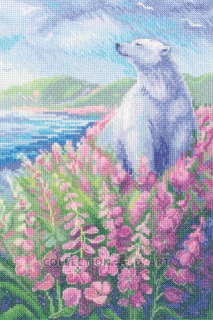 RTO-M972 - Arktické léto