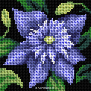 G3478 - Klematis