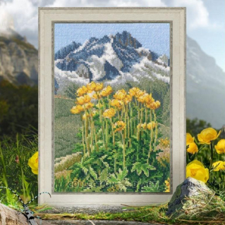 RTO-M965 - Žluté květy