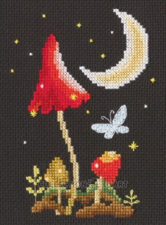 RTO-C435 - Noční les