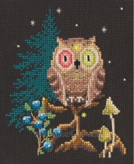 RTO-C436 - Kouzelná noc