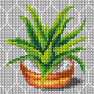 G3403 - Aloe vera (15 x 15 cm)