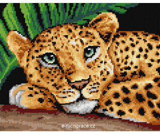 G3564 - Leopard