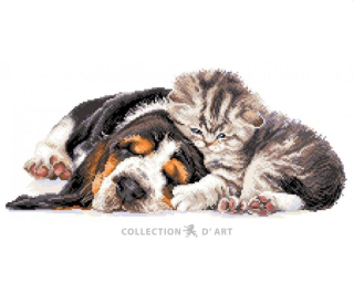 CDA-PA1816 - Přátelé