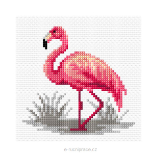 OR75000 - Plameňák