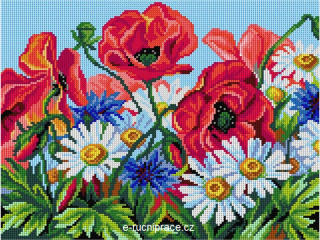 G3598 - Divoké květiny