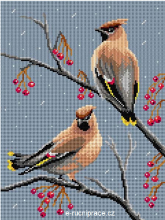 G3592 - Ptáci v zimě