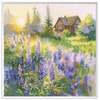 RTO-M1068 - Lila večer