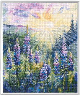 RTO-M1066 - Lupiny na slunci