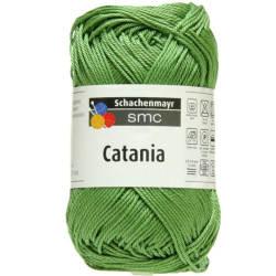 Catania č. 212 - kiwi