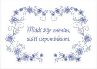 BE-NP59 - Mládí žije sněním