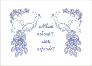 BE-NP64 - Mládí nekoupíš