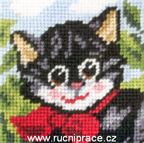 OR9606 - Kočička