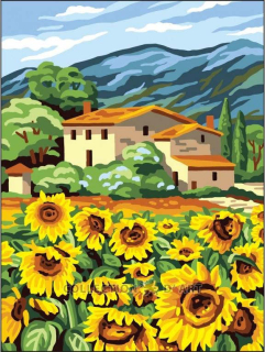 Dart10506 - Slunečnice