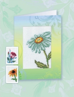 RTO-CH822 - Kopretina